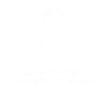 LOGO NATARIO_1.png (13 KB)
