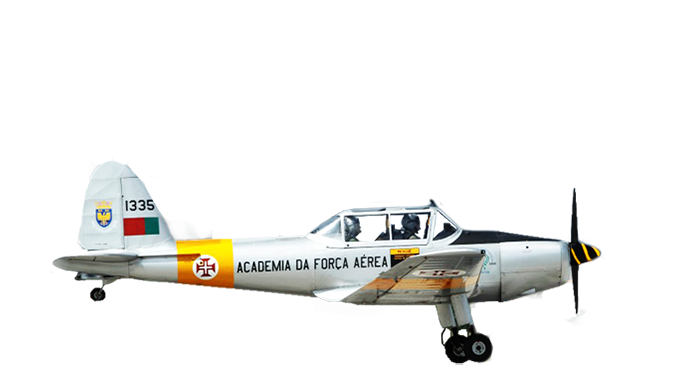 Chipmunk MK 20 (modif.)