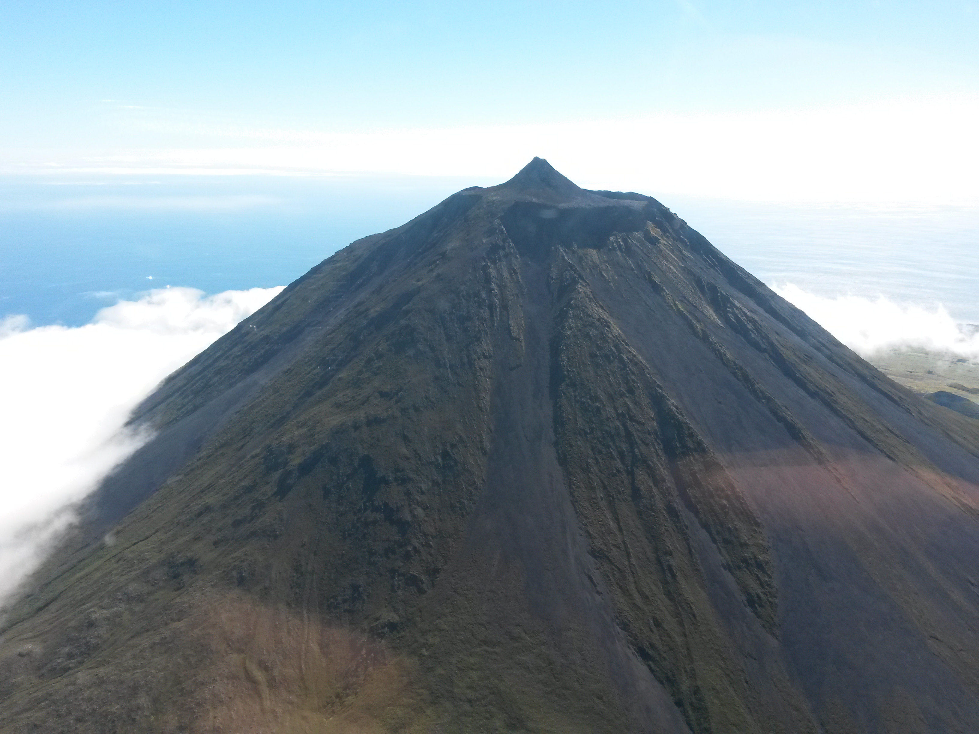 Fora Area resgata grvida na montanha do Pico