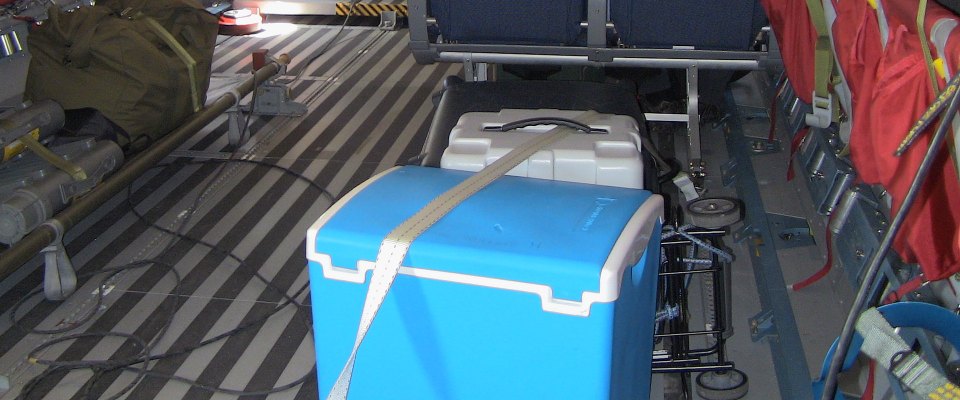 Elefantes" fazem transporte de órgãos para transplante Elefantes" fazem transporte de órgãos para transplante