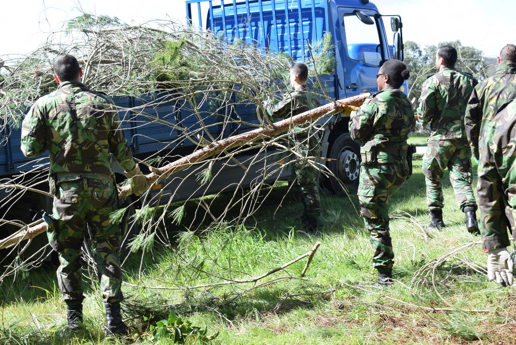Força Aérea apoia na limpeza de florestas Força Aérea apoia na limpeza de florestas
