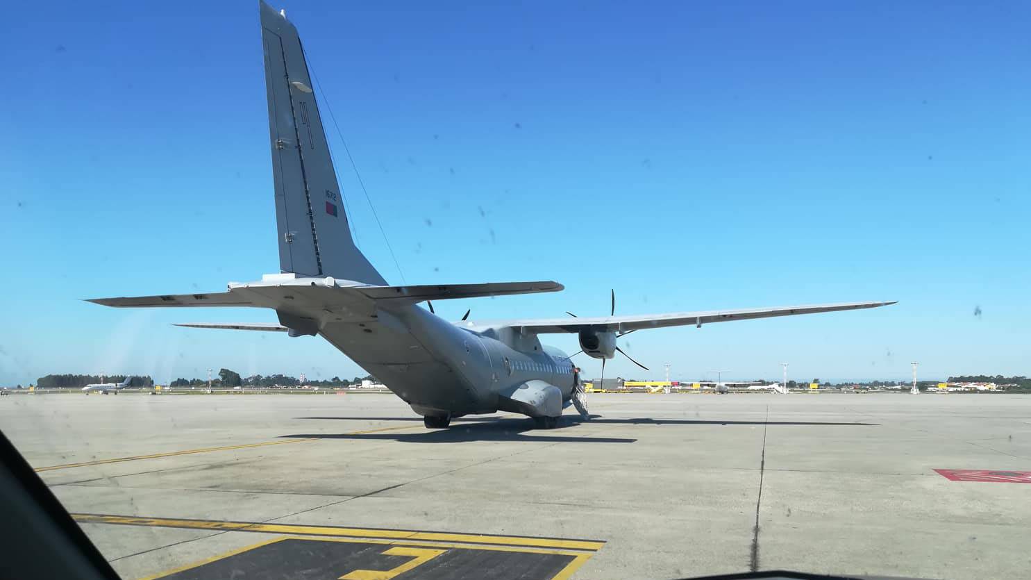 Elefantes empenhados no transporte de rgos