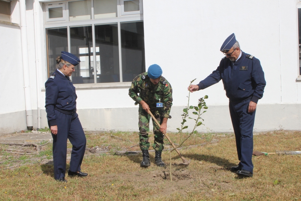 DGMFA planta rvores na Unidade