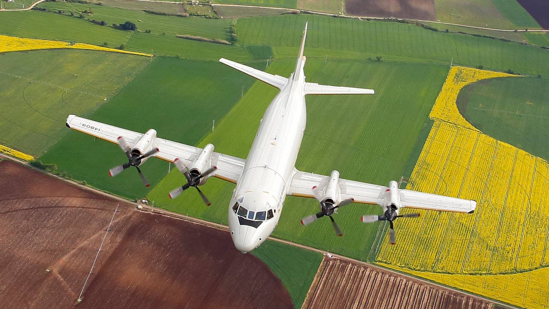 Força Aérea faz oito transportes médicos urgentes numa semana Força Aérea faz oito transportes médicos urgentes numa semana