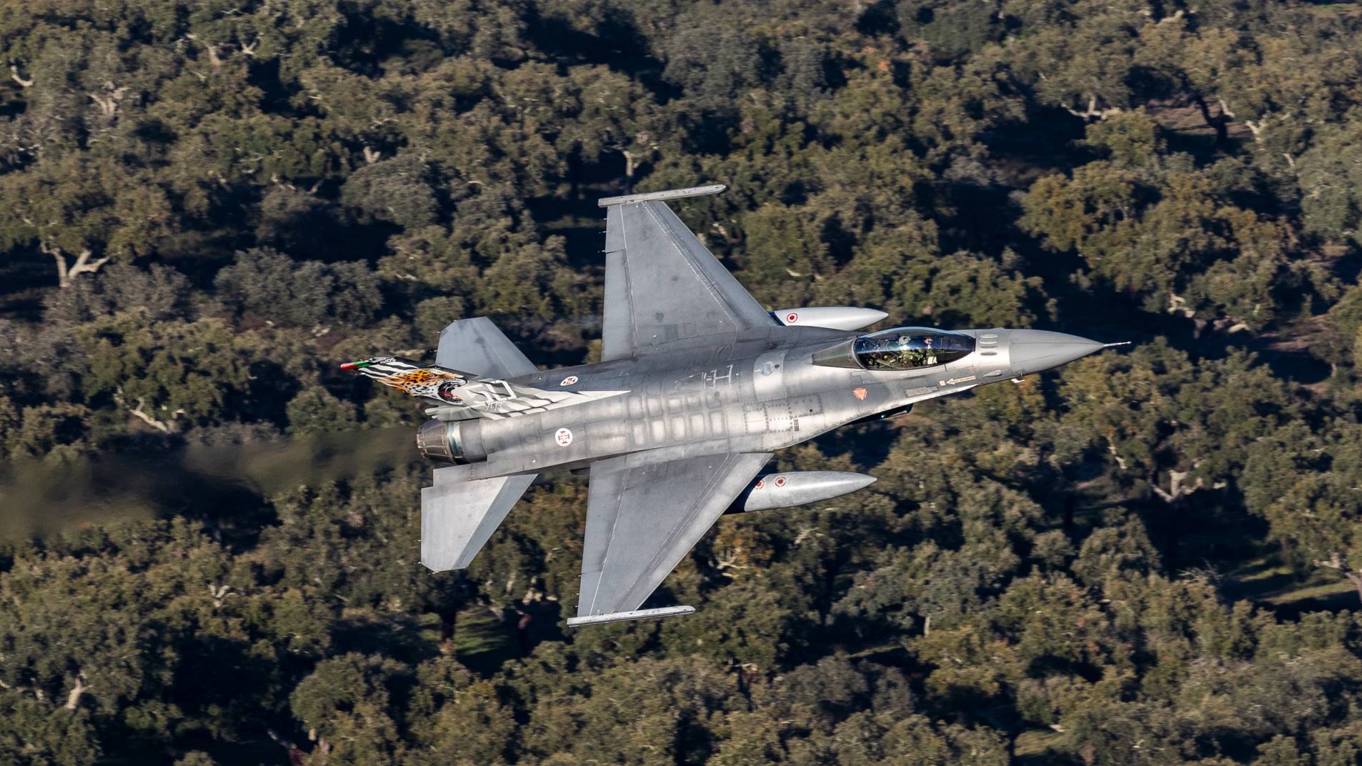 Força Aérea organiza NATO Tiger Meet 2020 Força Aérea organiza NATO Tiger Meet 2020