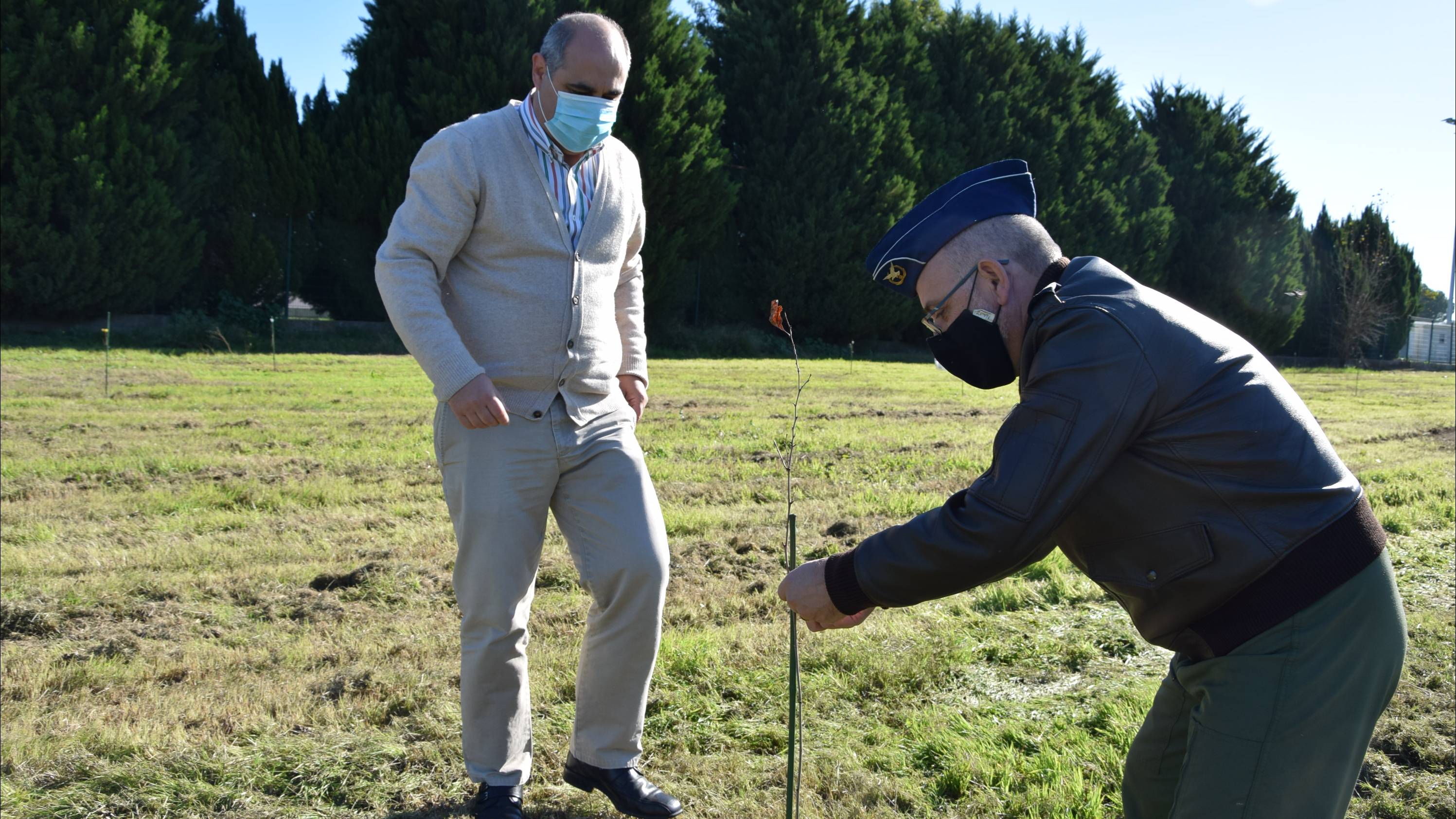 Cidade de Beja e a Base Aérea N.º 11 juntos no Dia da Floresta Autóctone Cidade de Beja e a Base Aérea N.º 11 juntos no Dia da Floresta Autóctone