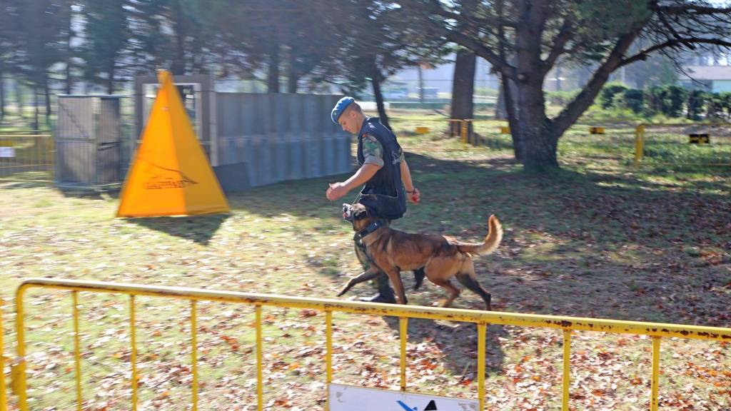 14 militares terminam Cursos de Operaes Cinotcnicas 01/2021