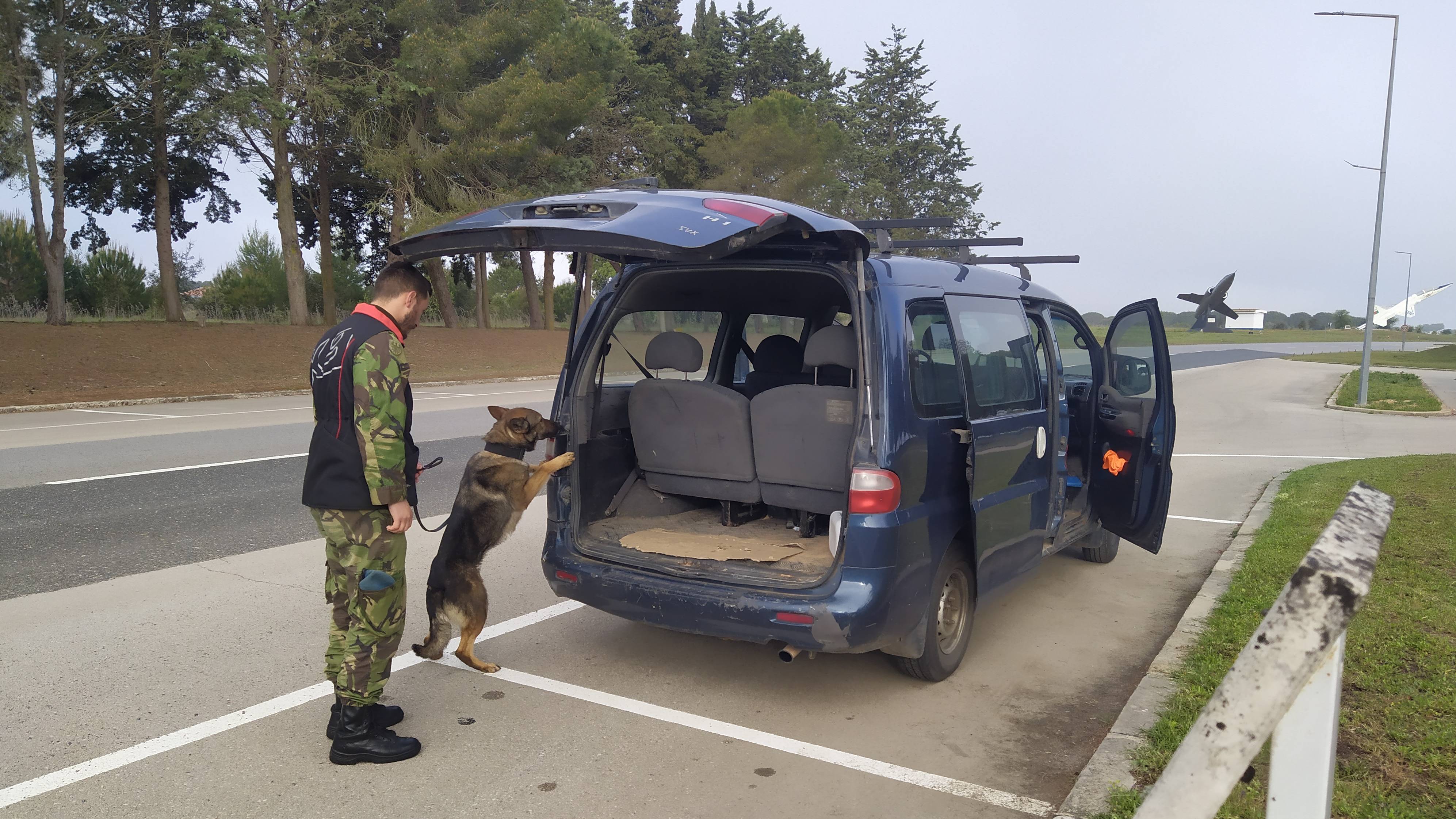Misso operacional cinotcnica realizada na Base Area N. 11