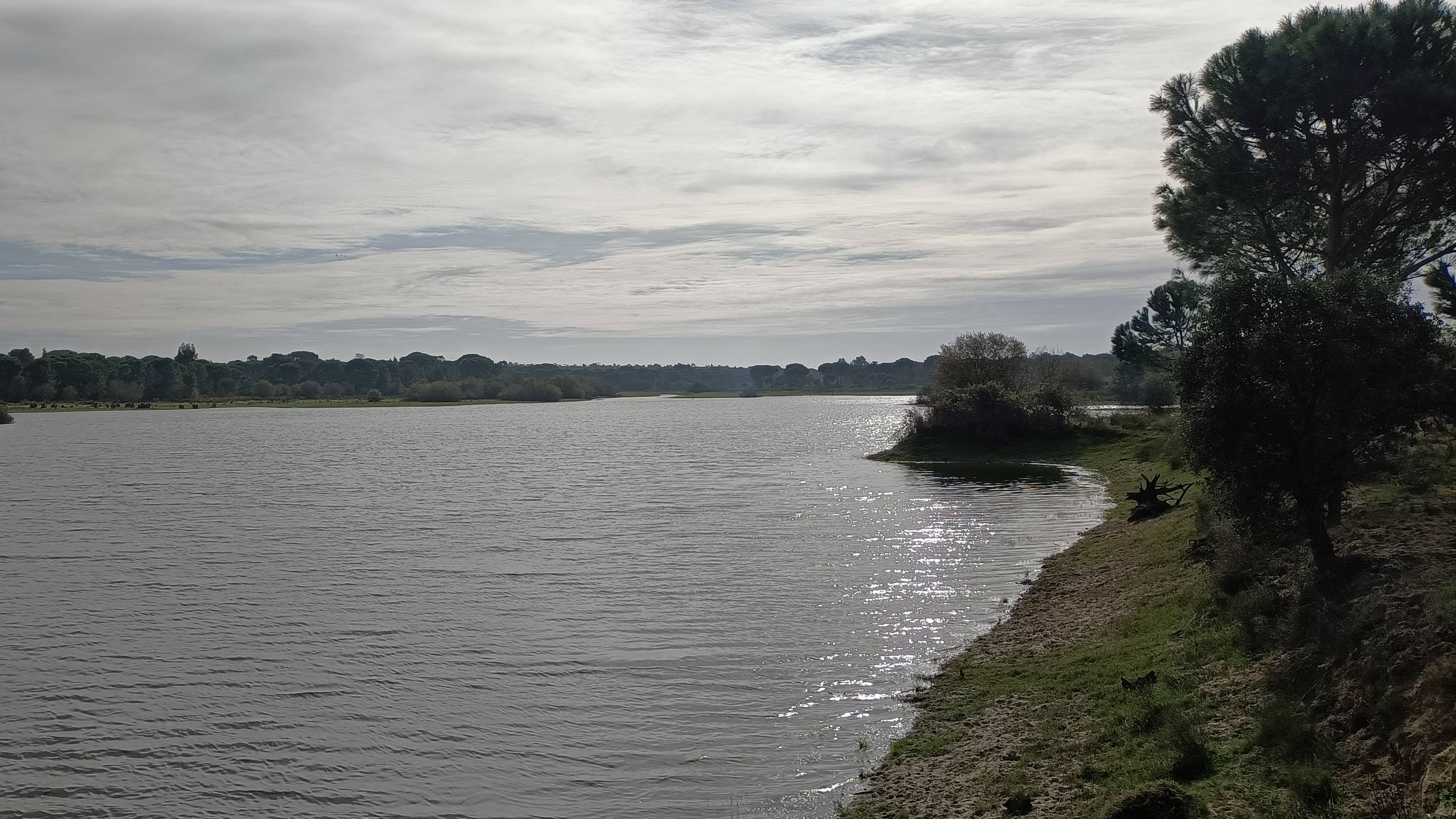 Campo de Tiro na defesa das florestas e do ambiente