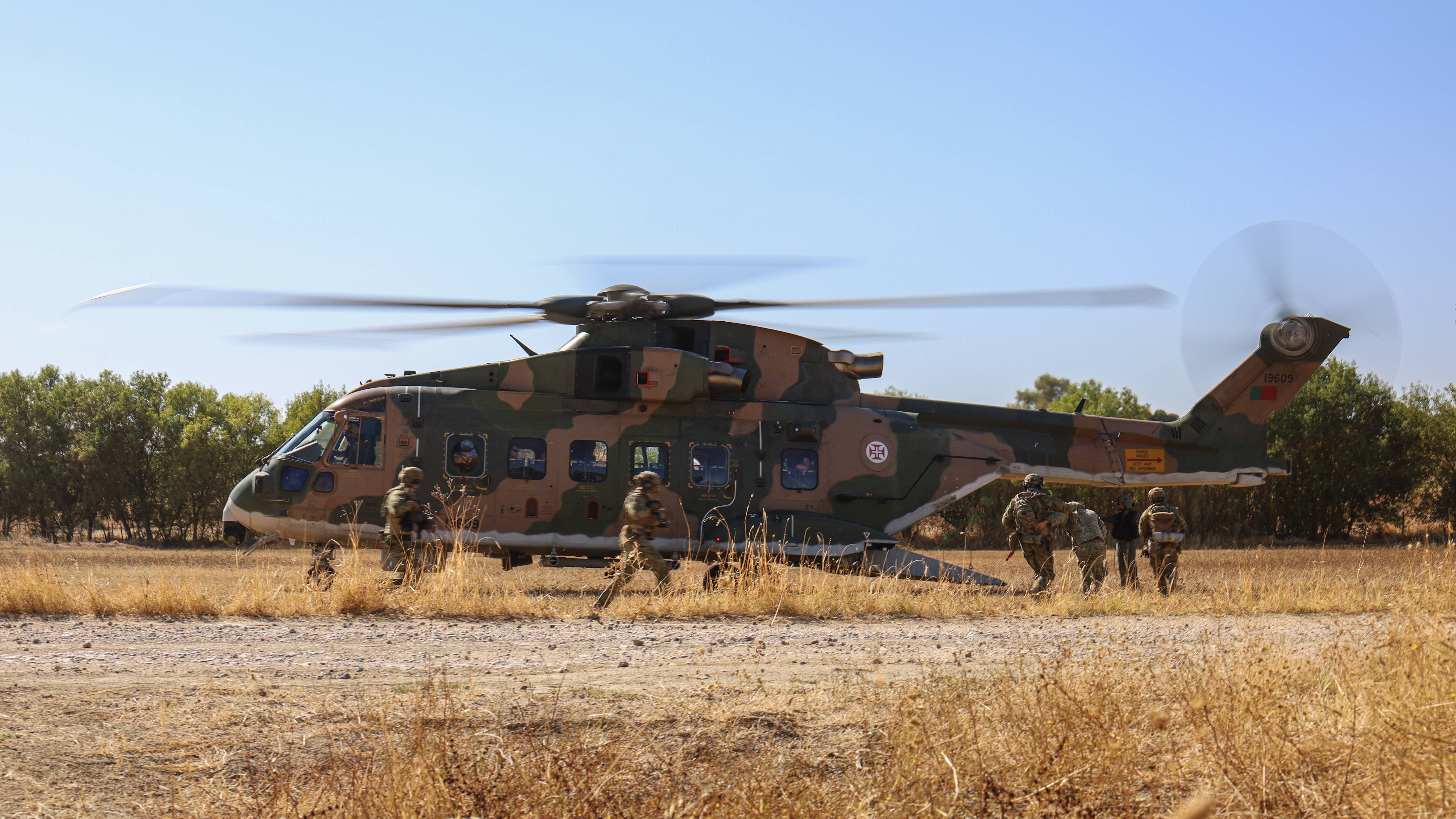 Pumas em ao no NATO Tiger Meet